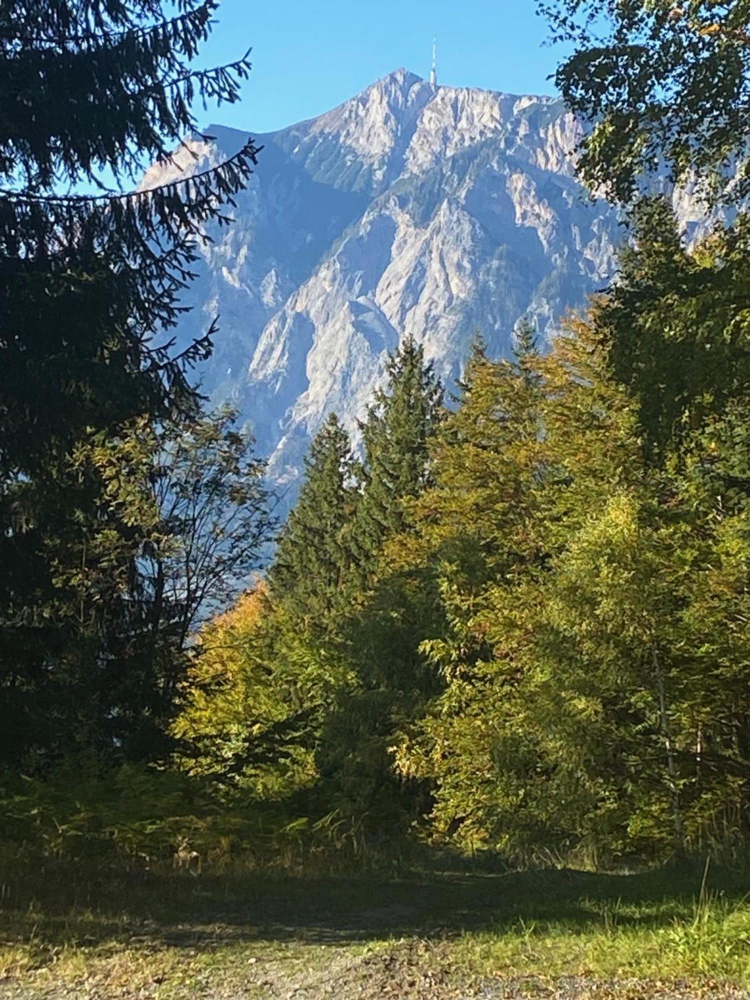 Berghaus Christel, Bergbeek In Grote Tuin Βίλα Arnoldstein Εξωτερικό φωτογραφία